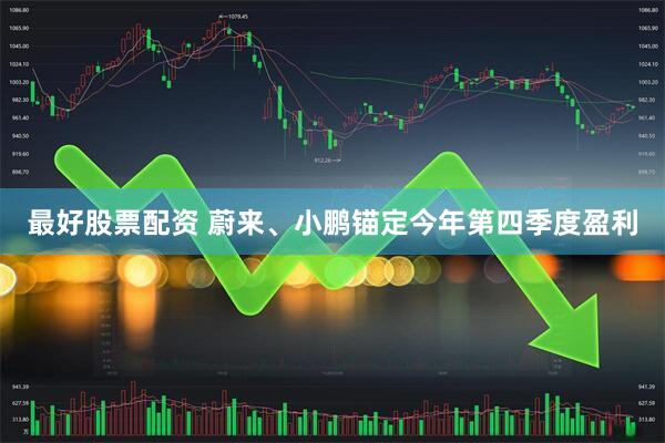 最好股票配资 蔚来、小鹏锚定今年第四季度盈利
